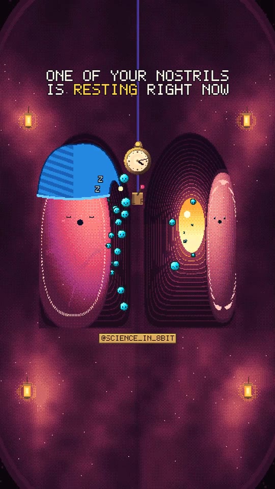 Pixel-art frame: two nostrils, one asleep in a blue nightcap, beside a pocket watch