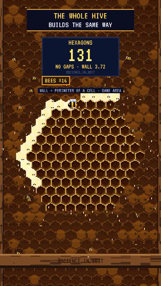 Pixel-art frame from Why bees build hexagons: a growing honeycomb and a cell counter